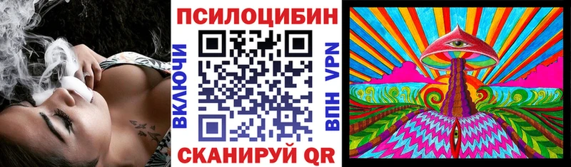 Псилоцибиновые грибы Psilocybine cubensis  цены наркотик  Черкесск 